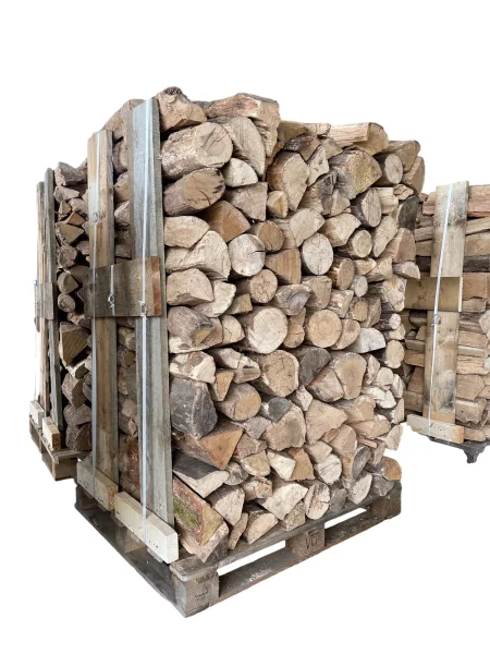 Brennholz - Stämme von 50 cm – 2 Rm